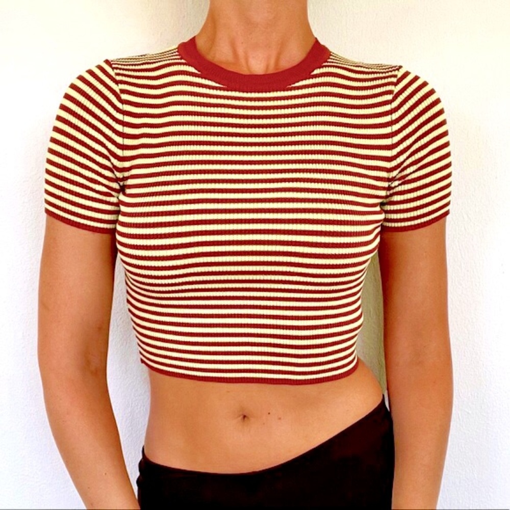 Zara Striped Ribbed Knit Crop Top